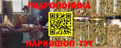 стафф Анжеро-Судженск