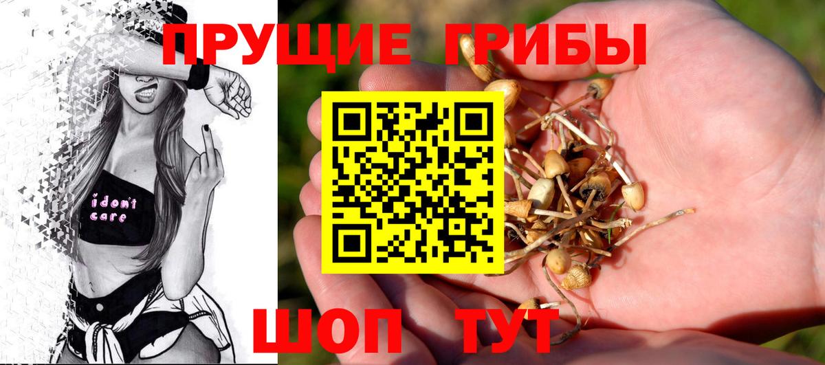 Галлюциногенные грибы Psilocybine cubensis Богородицк